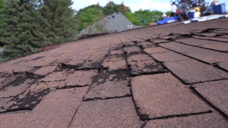 Best Emergency Roof Repair Services  in Hartville, OH