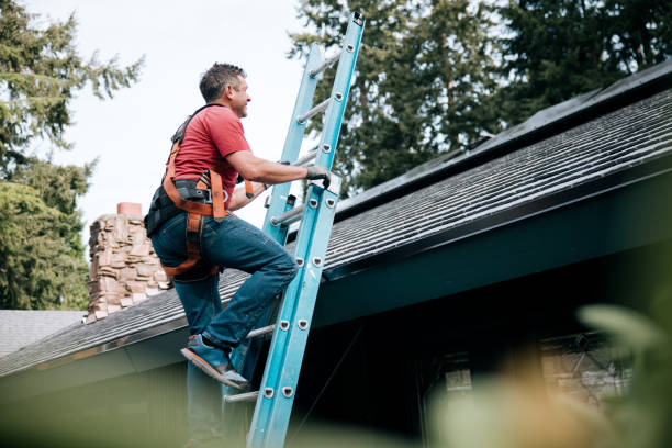 Best Skylight Installation and Repair  in Hartville, OH