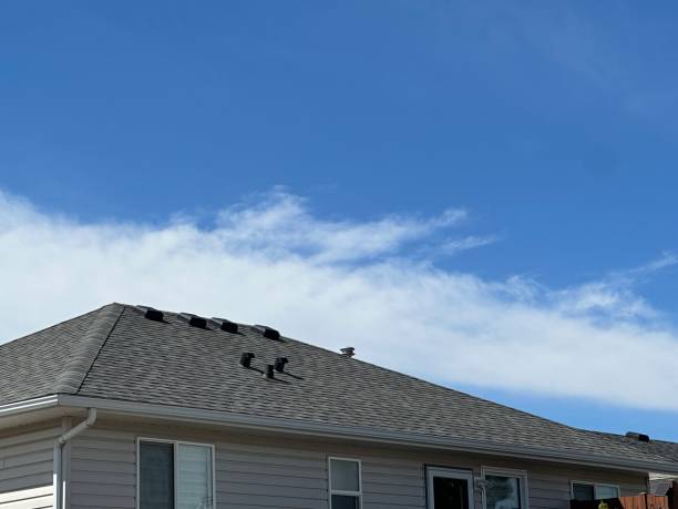 Best Gutter Installation and Repair  in Hartville, OH